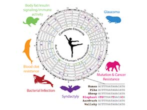 Epigenetics and regulatory elements